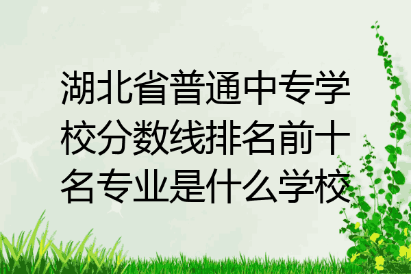 湖北省普通中专学校分数线排名前十名专业是什么学校