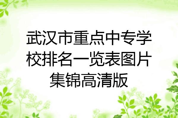 武汉市重点中专学校排名一览表图片集锦高清版
