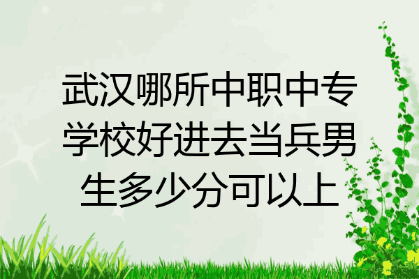 武汉哪所中职中专学校好进去当兵男生多少分可以上