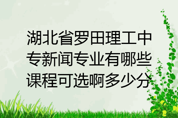 湖北省罗田理工中专新闻专业有哪些课程可选啊多少分