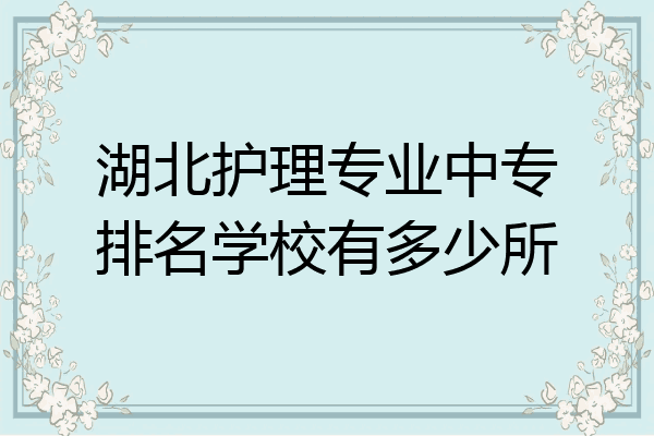 湖北护理专业中专排名学校有多少所