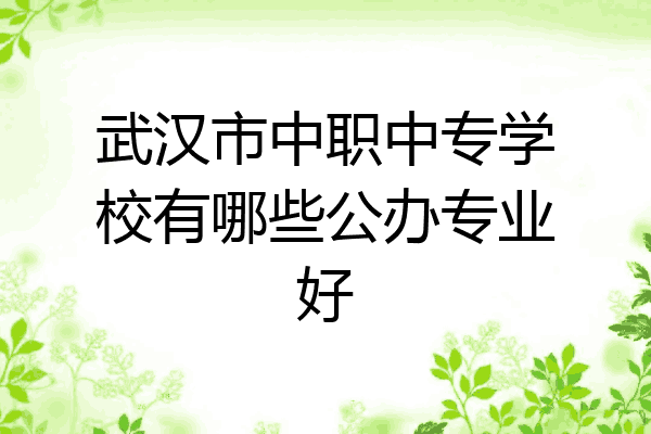 武汉市中职中专学校有哪些公办专业好