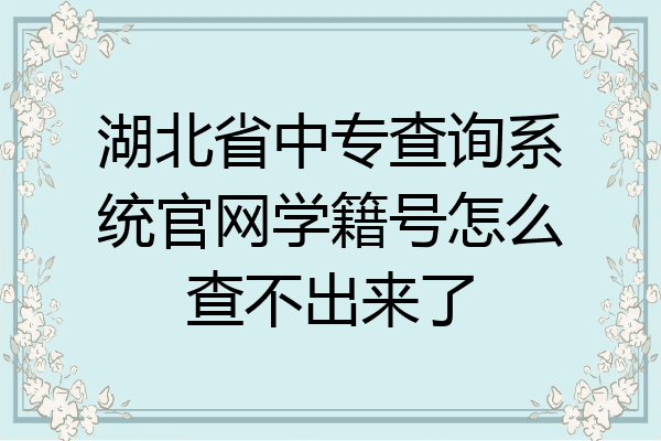 湖北省中专查询系统官网学籍号怎么查不出来了