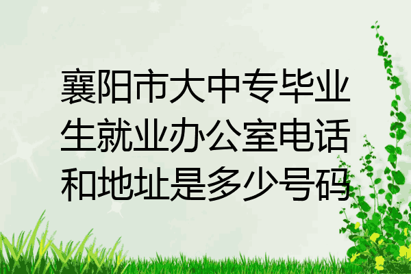 襄阳市大中专毕业生就业办公室电话和地址是多少号码