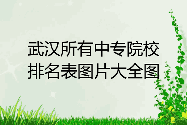 武汉所有中专院校排名表图片大全图