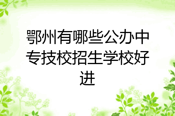 鄂州有哪些公办中专技校招生学校好进
