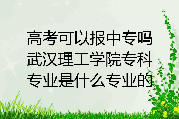 高考可以报中专吗武汉理工学院专科专业是什么专业的