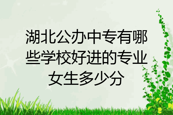 湖北公办中专有哪些学校好进的专业女生多少分