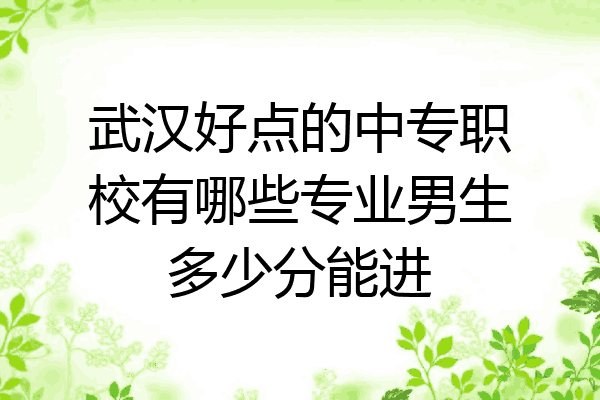 武汉好点的中专职校有哪些专业男生多少分能进