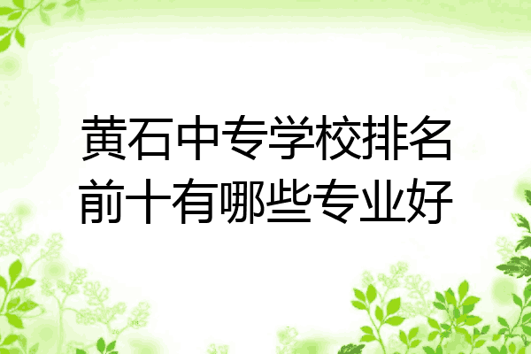 黄石中专学校排名前十有哪些专业好