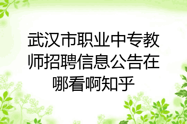 武汉市职业中专教师招聘信息公告在哪看啊知乎
