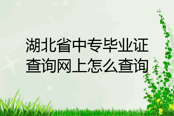 湖北省中专毕业证查询网上怎么查询