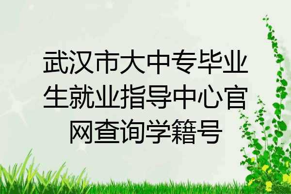 武汉市大中专毕业生就业指导中心官网查询学籍号
