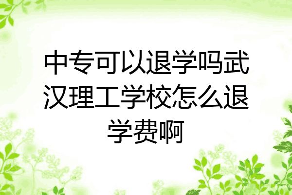 中专可以退学吗武汉理工学校怎么退学费啊