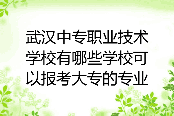武汉中专职业技术学校有哪些学校可以报考大专的专业
