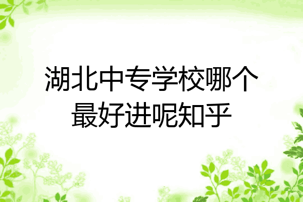 湖北中专学校哪个最好进呢知乎
