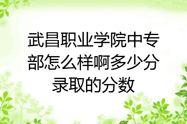 武昌职业学院中专部怎么样啊多少分录取的分数