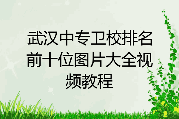 武汉中专卫校排名前十位图片大全视频教程