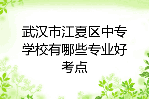 武汉市江夏区中专学校有哪些专业好考点