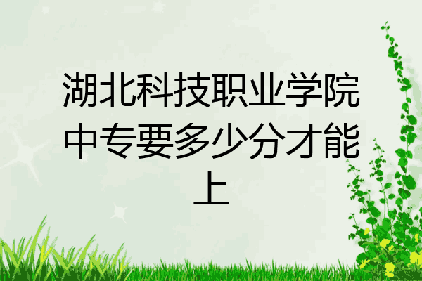 湖北科技职业学院中专要多少分才能上