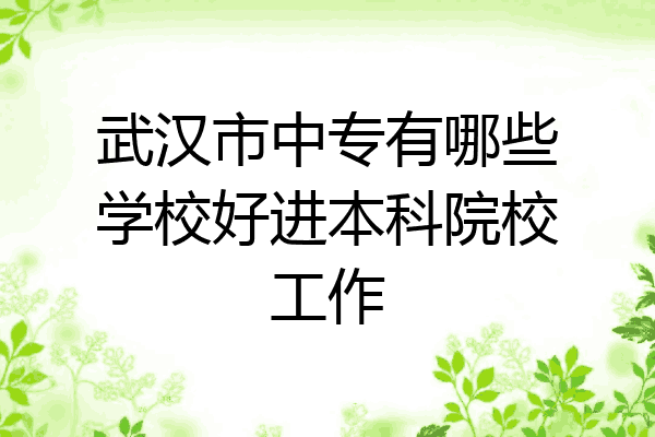 武汉市中专有哪些学校好进本科院校工作