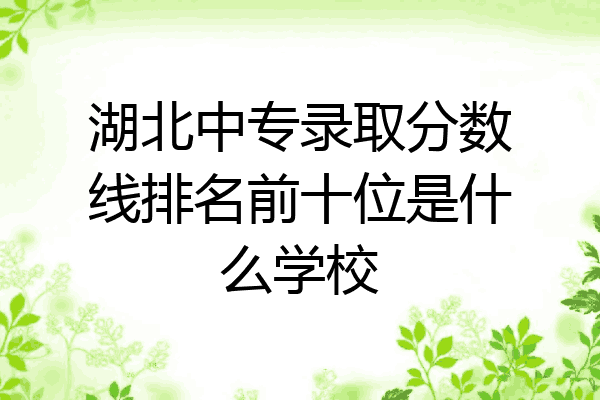 湖北中专录取分数线排名前十位是什么学校