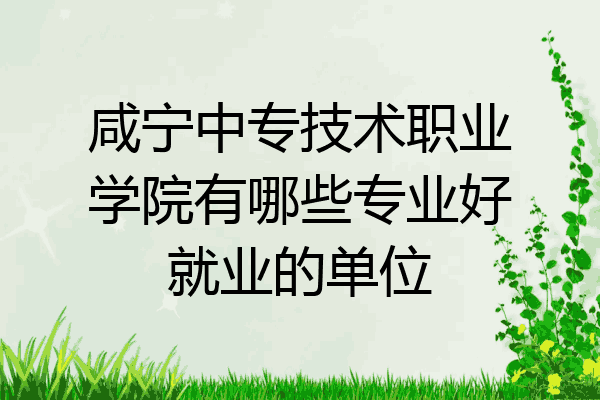 咸宁中专技术职业学院有哪些专业好就业的单位