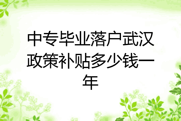 中专毕业落户武汉政策补贴多少钱一年
