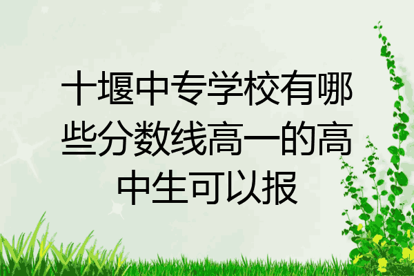 十堰中专学校有哪些分数线高一的高中生可以报