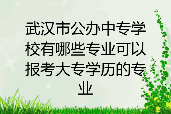 武汉市公办中专学校有哪些专业可以报考大专学历的专业