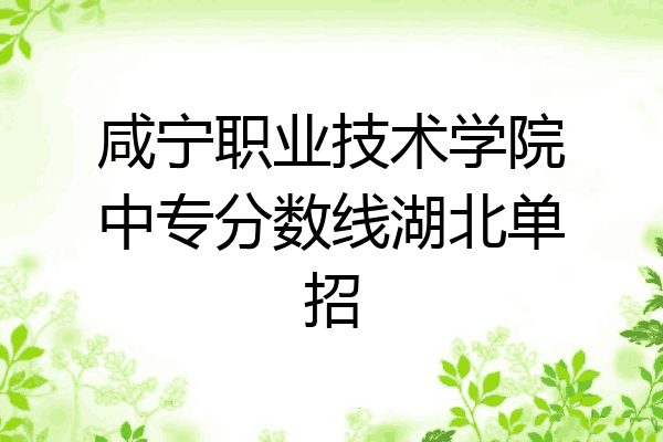 咸宁职业技术学院中专分数线湖北单招