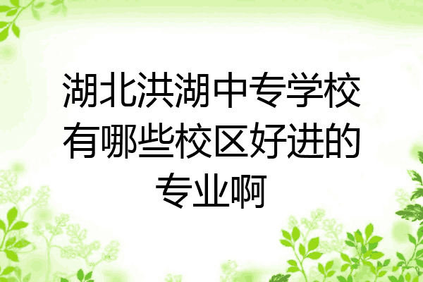湖北洪湖中专学校有哪些校区好进的专业啊