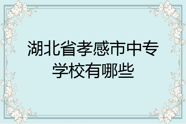 湖北省孝感市中专学校有哪些