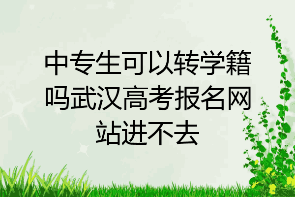 中专生可以转学籍吗武汉高考报名网站进不去