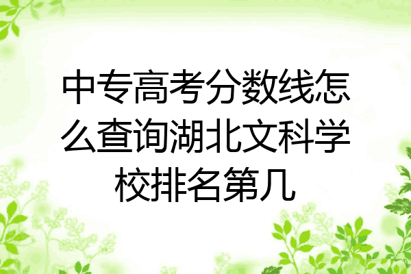 中专高考分数线怎么查询湖北文科学校排名第几