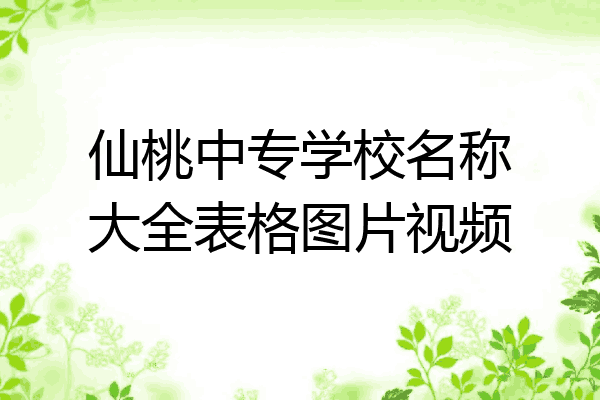 仙桃中专学校名称大全表格图片视频