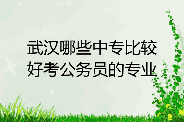 武汉哪些中专比较好考公务员的专业