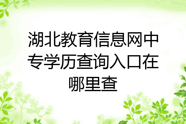 湖北教育信息网中专学历查询入口在哪里查