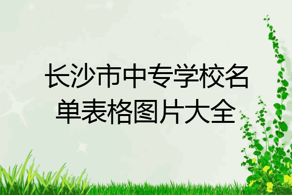 长沙市中专学校名单表格图片大全