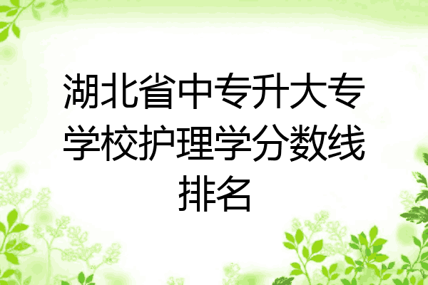 湖北省中专升大专学校护理学分数线排名