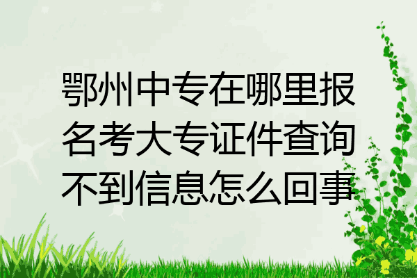 鄂州中专在哪里报名考大专证件查询不到信息怎么回事