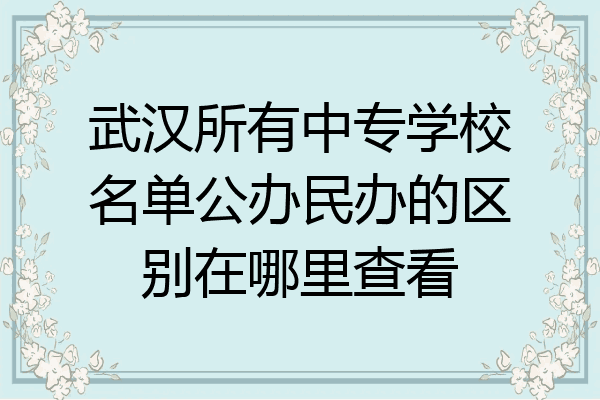 武汉所有中专学校名单公办民办的区别在哪里查看