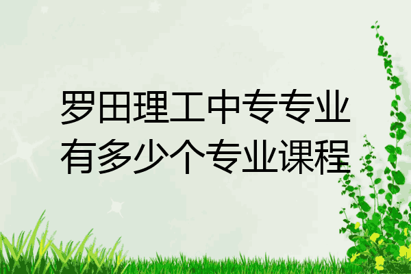 罗田理工中专专业有多少个专业课程