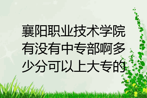 襄阳职业技术学院有没有中专部啊多少分可以上大专的