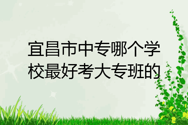 宜昌市中专哪个学校最好考大专班的
