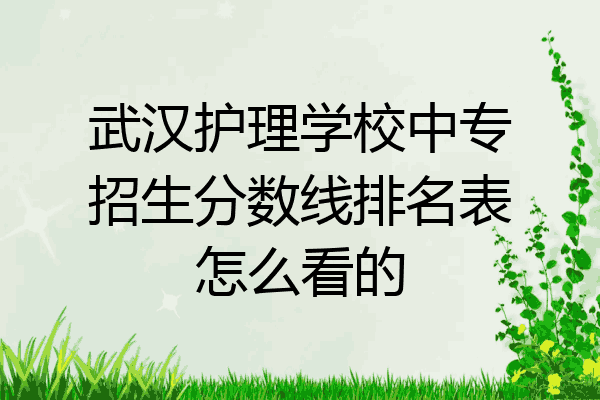 武汉护理学校中专招生分数线排名表怎么看的