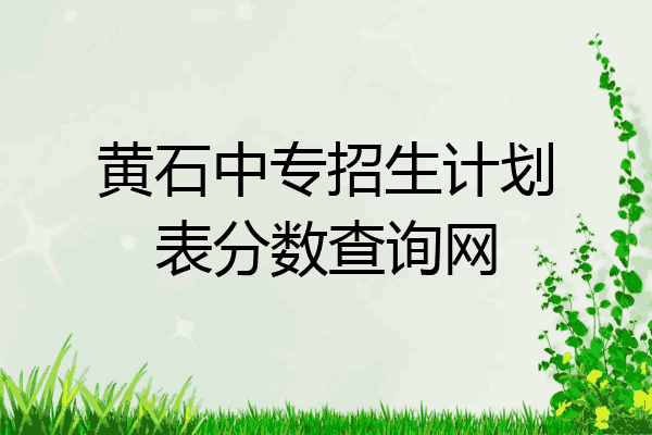 黄石中专招生计划表分数查询网