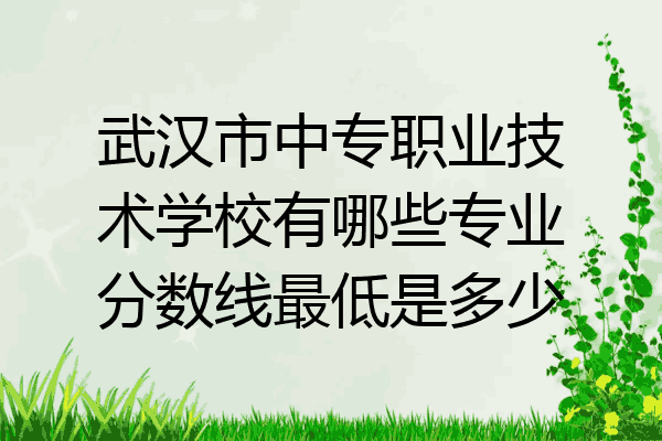 武汉市中专职业技术学校有哪些专业分数线最低是多少