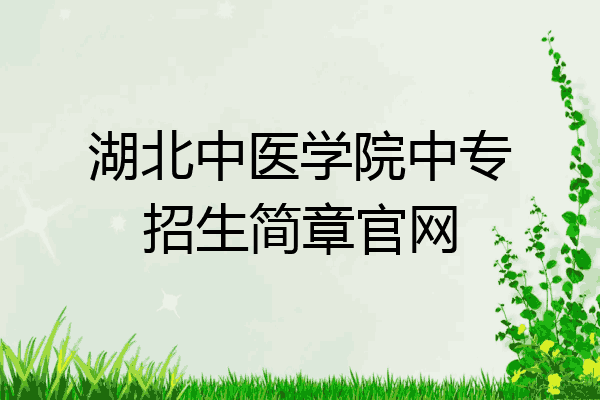 湖北中医学院中专招生简章官网
