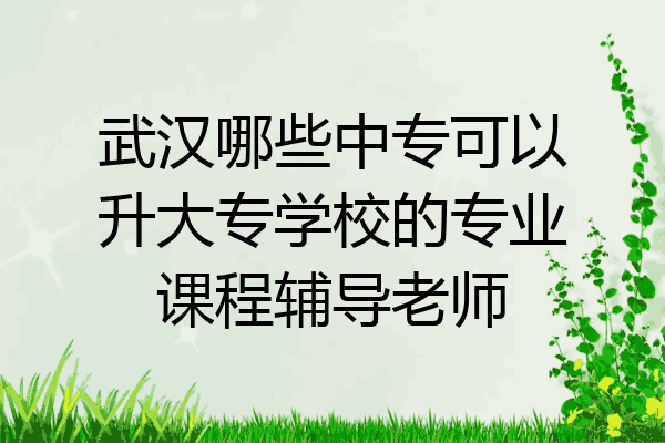 武汉哪些中专可以升大专学校的专业课程辅导老师